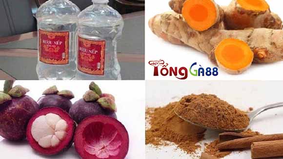 Chữa bệnh lác gà chọi bằng nghệ, quế và vỏ măng cụt Chữa bệnh lác gà chọi bằng nghệ, quế và vỏ măng cụt