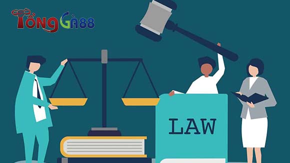 Những hoạt động cơ bản về trách nhiệm người chơi Những hoạt động cơ bản về trách nhiệm người chơi