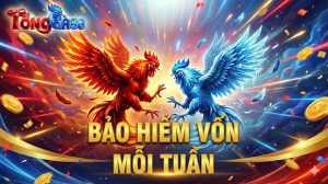 bảo hiểm vốn mỗi tuần