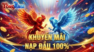 Khuyến mãi nạp đầu 100%