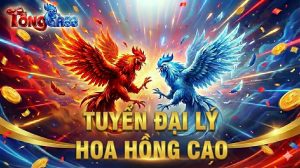 tuyển đại lý hoa hông cao