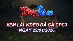 Xem Lại Video Đá Gà CPC3 Ngày 29/01/2026