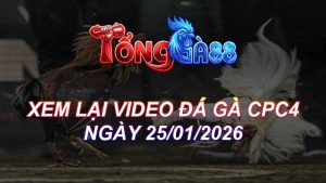 Xem Lại Video Đá Gà CPC4 Ngày 25/01/2026