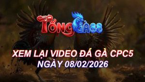 Xem Lại Video Đá Gà CPC5 Ngày 08/02/2026
