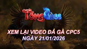 XEM LẠI VIDEO ĐÁ GÀ CPC5 NGÀY 21/01/2026