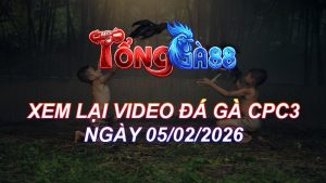 Xem Lại Video Đá Gà CPC3 Ngày 05/02/2026