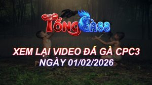 Xem Lại Video Đá Gà CPC3 Ngày 01/02/2026