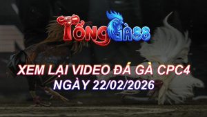 Xem Lại Video Đá Gà CPC4 Ngày 22/02/2026