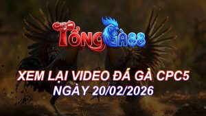 Xem Lại Video Đá Gà CPC5 Ngày 20/02/2026
