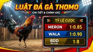 Luật Đá Gà Thomo