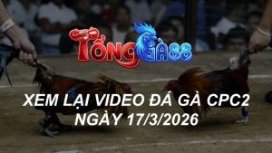 Xem Lại Video Đá Gà CPC2 Ngày 17/03/2026