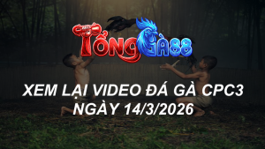 Xem Lại Video Đá Gà CPC3 Ngày 14/03/2026