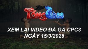 Xem Lại Video Đá Gà CPC3 Ngày 15/03/2026