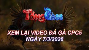 Xem Lại Video Đá Gà CPC5 Ngày 07/03/2026