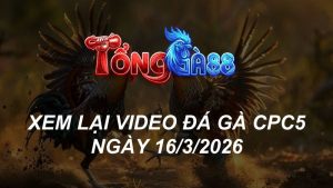 Xem Lại Video Đá Gà CPC5 Ngày 16/03/2026