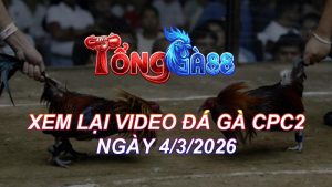 Xem Lại Video Đá Gà CPC2 Ngày 04/03/2026