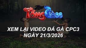 Xem Lại Video Đá Gà CPC3 Ngày 21/03/2026