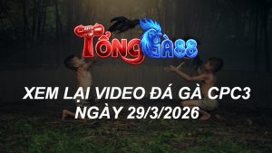 Xem Lại Video Đá Gà CPC3 Ngày 29/03/2026