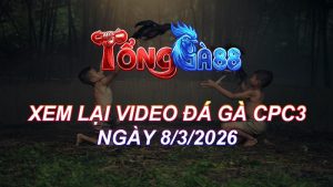 Xem Lại Video Đá Gà CPC3 Ngày 08/03/2026