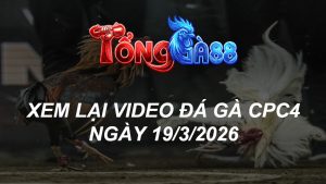 Xem Lại Video Đá Gà CPC4 Ngày 19/03/2026