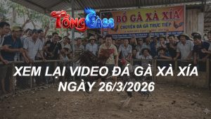 Xem Lại Video Đá Gà XAXIA Ngày 26/03/2026