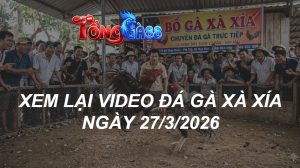 Xem Lại Video Đá Gà XAXIA Ngày 27/03/2026
