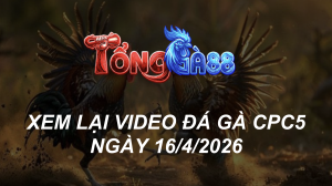 Xem Lại Video Đá Gà CPC5 Ngày 16/04/2026