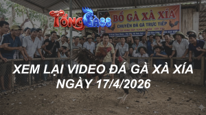Xem Lại Video Đá Gà XAXIA Ngày 17/04/2026