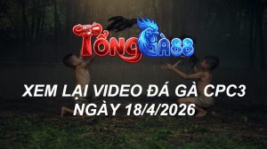 Xem Lại Video Đá Gà CPC3 Ngày 18/04/2026