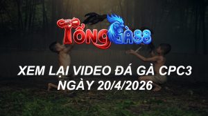 Xem Lại Video Đá Gà CPC3 Ngày 20/04/2026