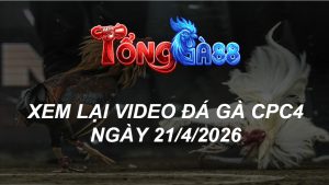 Xem Lại Video Đá Gà CPC4 Ngày 21/04/2026