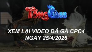 Xem Lại Video Đá Gà CPC5 Ngày 25/04/2026
