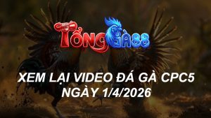 Xem Lại Video Đá Gà CPC5 Ngày 01/04/2026