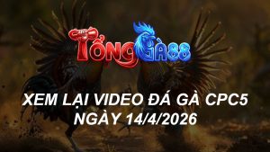 Xem Lại Video Đá Gà CPC5 Ngày 14/04/2026
