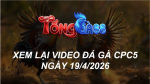 Xem Lại Video Đá Gà CPC5 Ngày 19/04/2026
