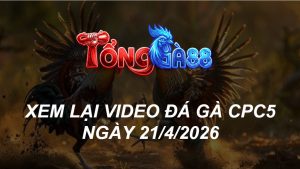 Xem Lại Video Đá Gà CPC5 Ngày 21/04/2026