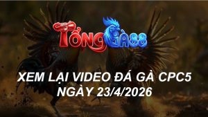 Xem Lại Video Đá Gà CPC5 Ngày 23/04/2026