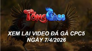 Xem Lại Video Đá Gà CPC5 Ngày 07/04/2026