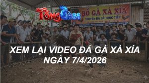 Xem Lại Video Đá Gà XAXIA Ngày 07/04/2026