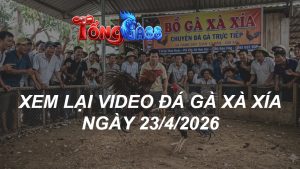 Xem Lại Video Đá Gà XAXIA Ngày 23/04/2026