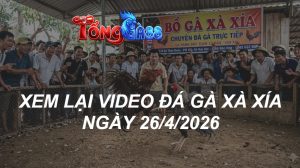 Xem Lại Video Đá Gà XAXIA Ngày 26/04/2026