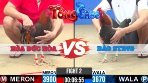 TRẬN 1 CPC2 NGÀY 19/5/2026